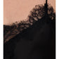 24Colours | Spitzentop | Damen